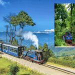 darjeeling himalayan railway jungle safari